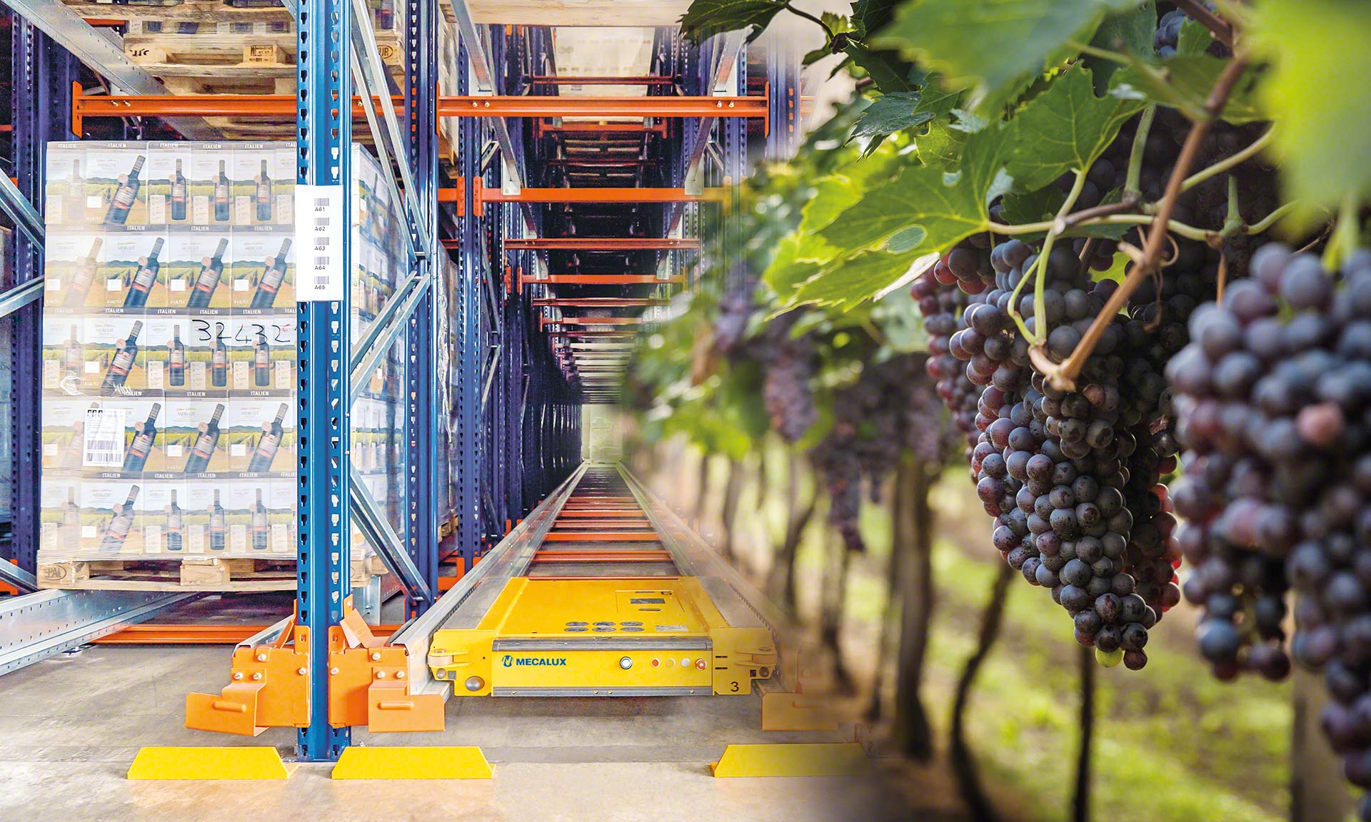 L'automazione risolve molte delle sfide che presenta la supply chain di un'azienda vinicola