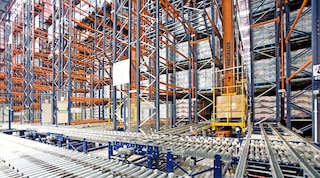 Magazzino automatico con trasportatori, scaffalature a doppia profondità, trasloelevatori e sfotware