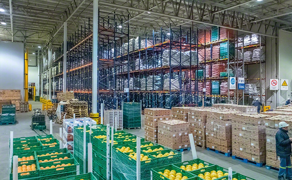 Il nuovo centro di distribuzione ortofrutticolo di Coto in Argentina Il nuovo centro di distribuzione ortofrutticolo di Coto in Argentina