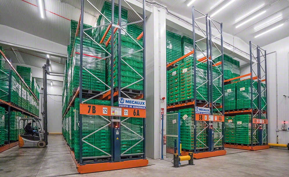 Quarta gamma: il magazzino per insalate di Grupo Alimentario Citrus Quarta gamma: il magazzino per insalate di Grupo Alimentario Citrus