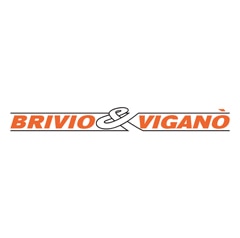 Brivio & Viganò logo