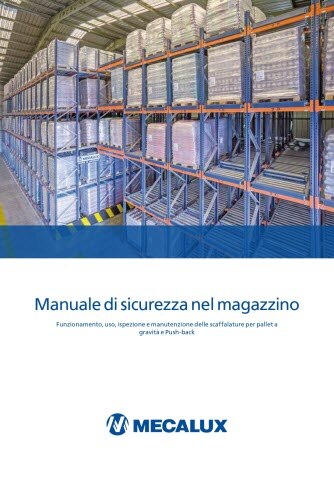 MS_Dinamica_IT.pdf