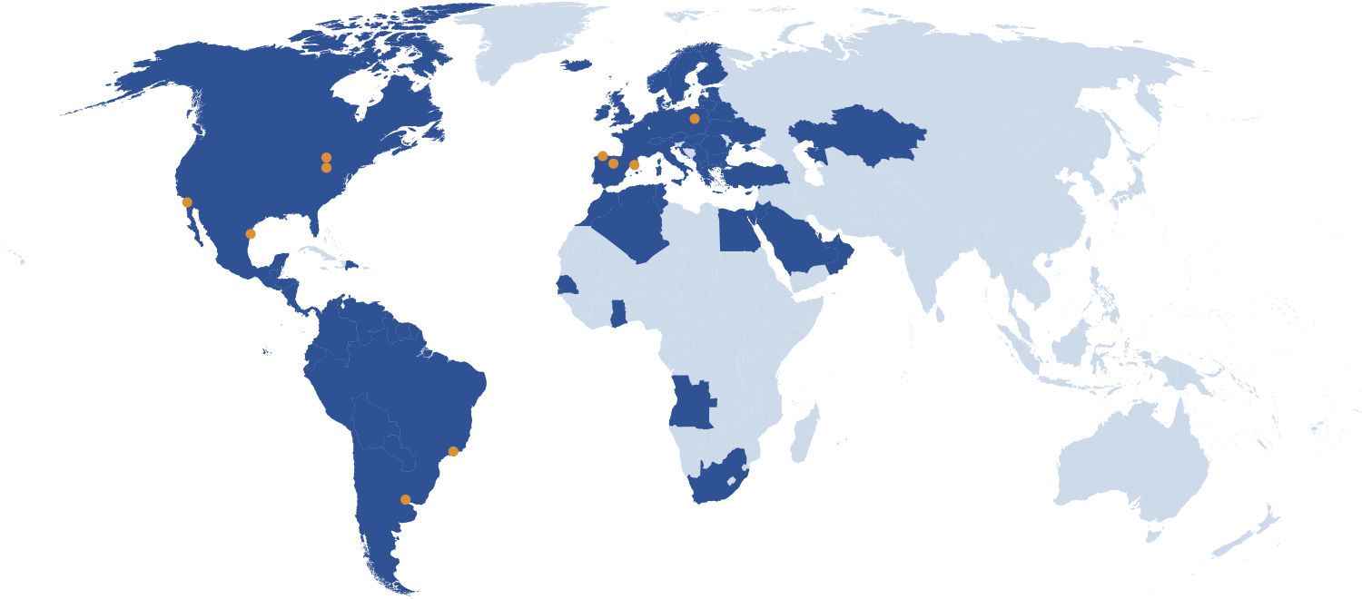 Il Gruppo nel mondo