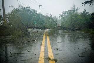 Any disruption can lead to an emergency situation for the supply chain