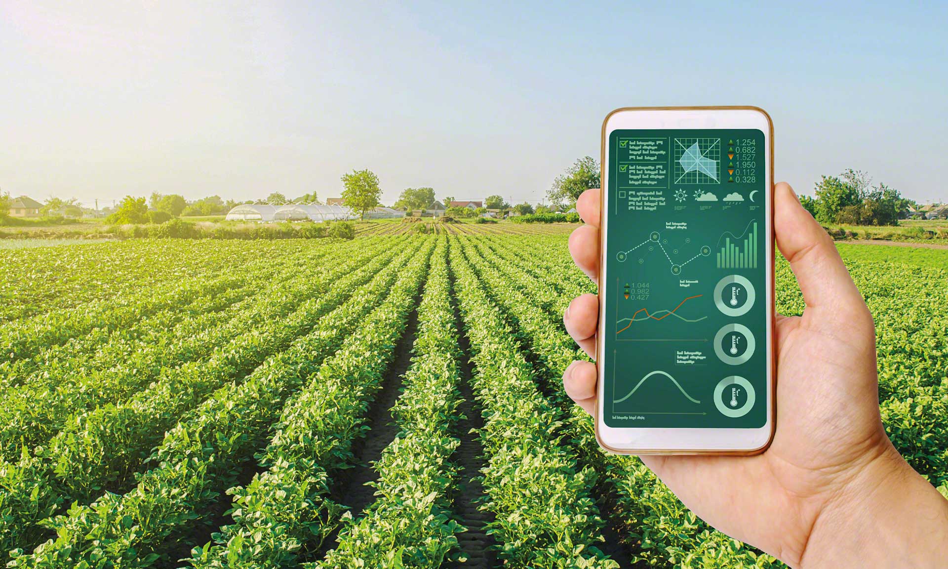 LT Distribution Europe controlla la tracciabilità degli alimenti