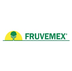Celle frigorifere autoportanti: la migliore scelta di crescita per un produttore messicano leader di prodotti ortofrutticoli