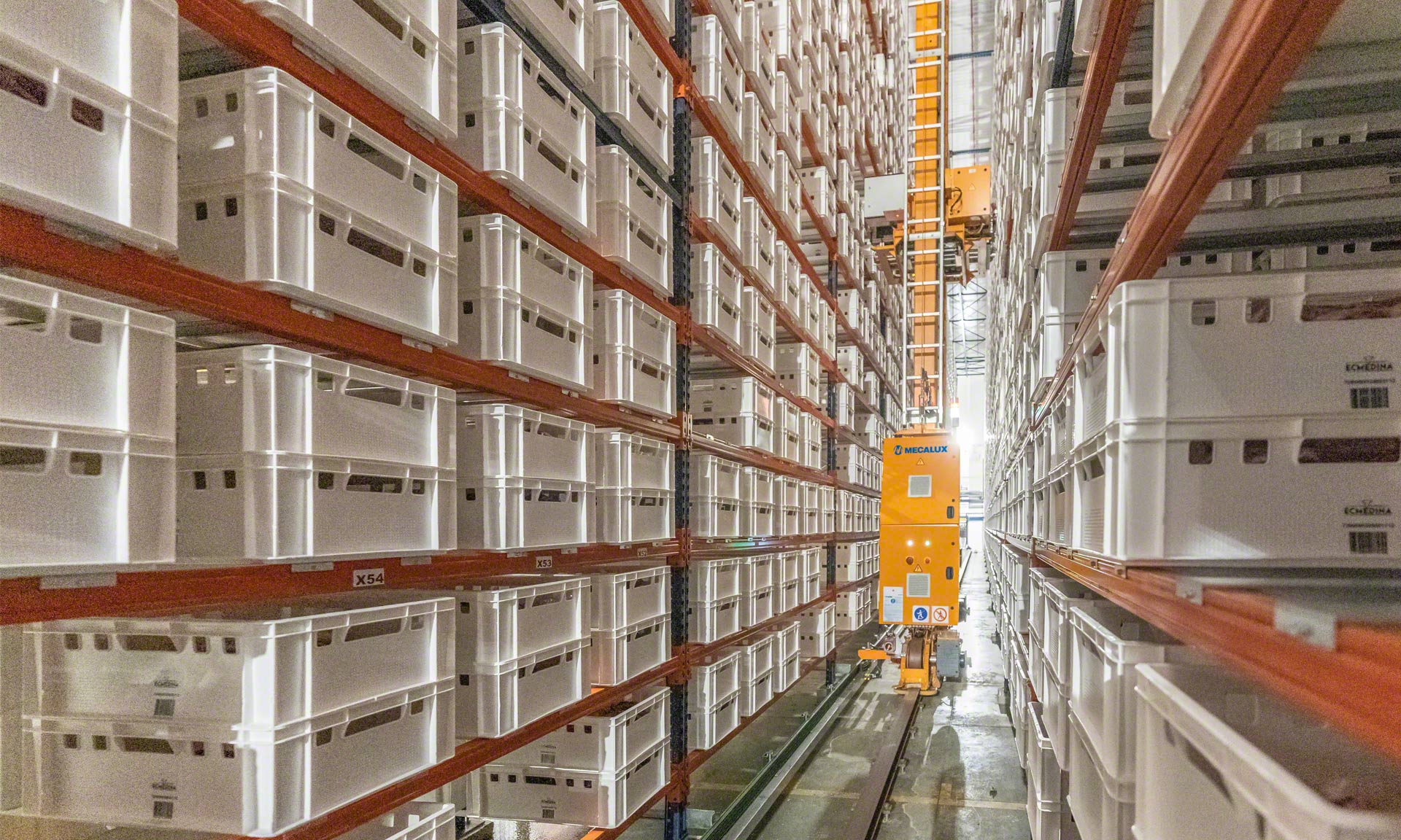 Elaborados Cárnicos Medina: 30 milioni di chili/anno di vitello in un buffer automatico Elaborados Cárnicos Medina: 30 milioni di chili/anno di vitello in un buffer automatico