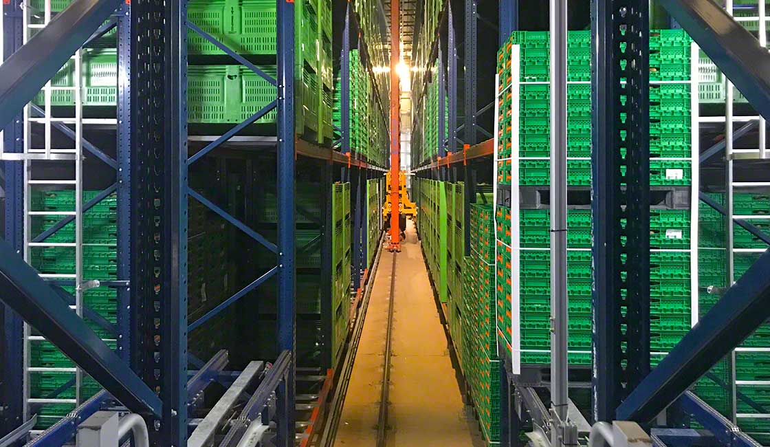 Magazzino automatico di Kiwi Greensun in Portogallo che lavora a temperatura refrigerata