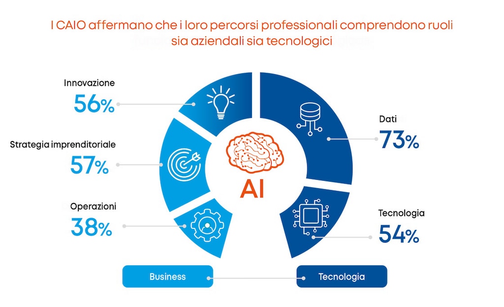 Domanda: Considerando la sua carriera nel suo complesso, su quale delle seguenti aree si è concentrato?