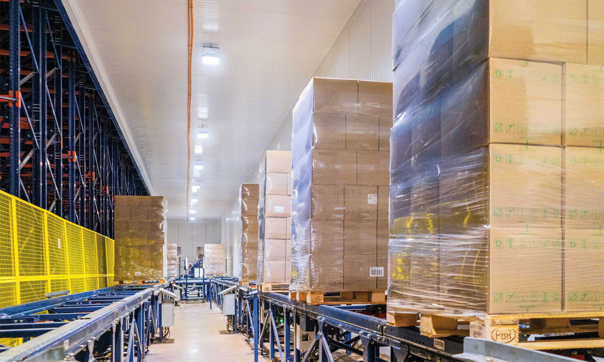 Bem Brasil gestisce 500.000 tonnellate di surgelati con il Pallet Shuttle Automatico