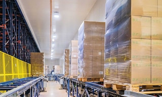 Bem Brasil gestisce 500.000 tonnellate di surgelati con il Pallet Shuttle Automatico