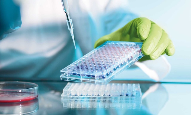La biomedica ELITechGroup gestisce prodotti di diagnosi in vitro con Easy WMS