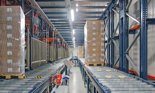 L’automazione di Frigo Logistics, il 3PL a temperatura controllata leader in Polonia