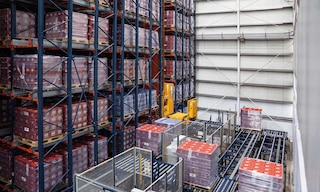 Grupo Rica inaugura il primo magazzino automatico di pallet della Repubblica Dominicana