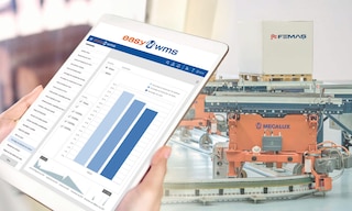 Femaş Group: stoccaggio automatico di contenitori e pallet Femaş Group: stoccaggio automatico di contenitori e pallet