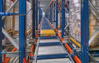 Pallet Shuttle Automatico 3D