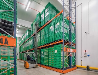 La scaffalatura compattabile può essere utilizzata in magazzini refrigerati e di congelamento